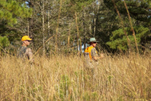 Our guide getting hunters set up and ready for when he flushes a prized pheasant. 